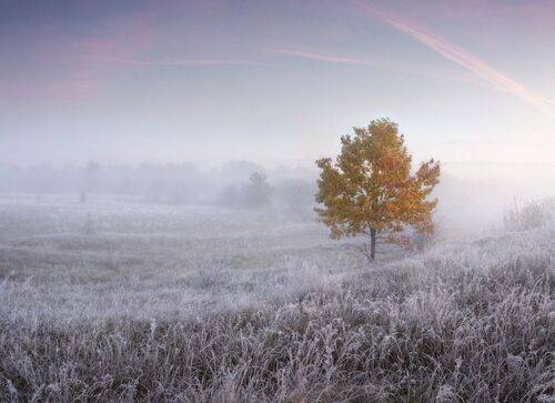 Октябрьские заморозки