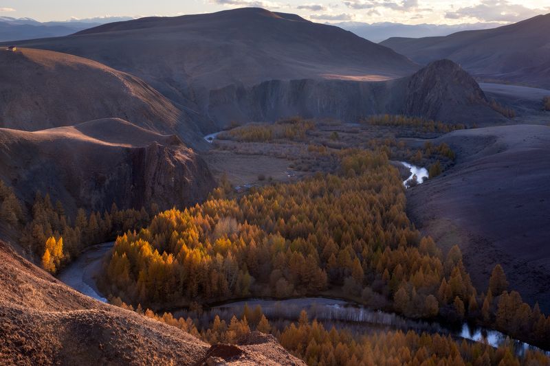 вечерний Кокоря фото превью