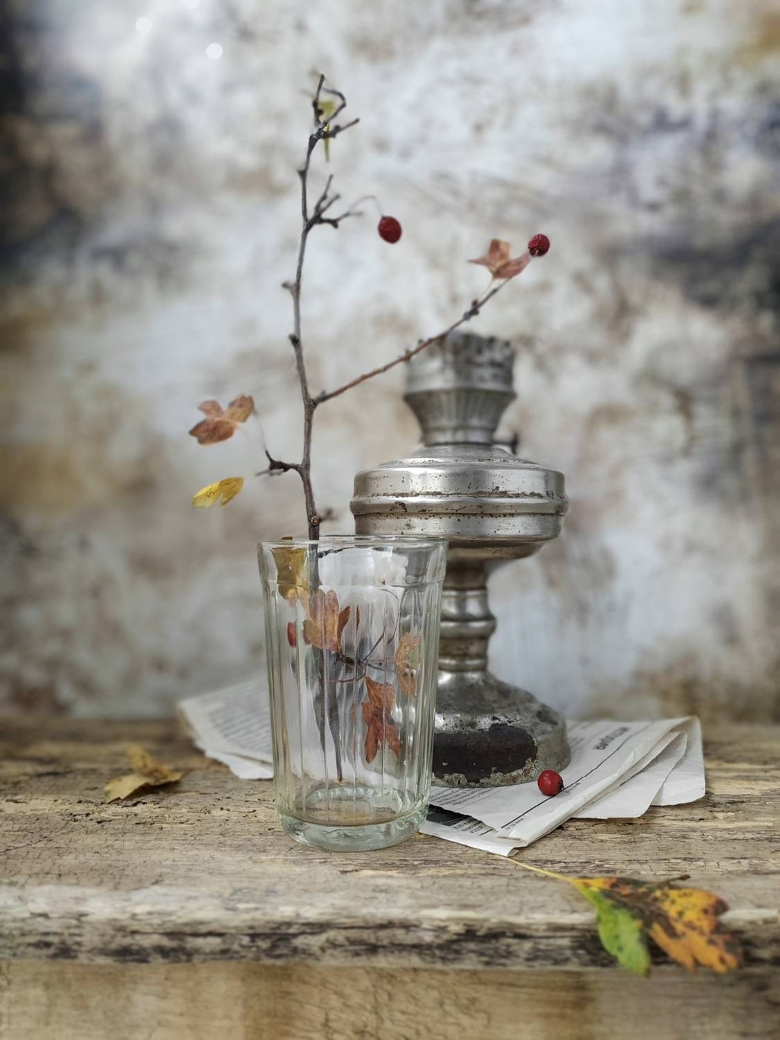 натюрморт, Лариса Белякова