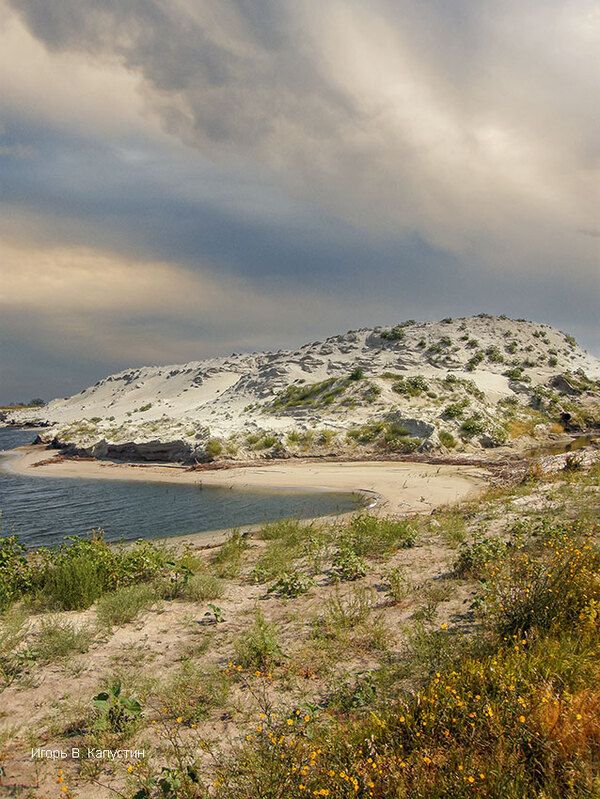 *** фото превью