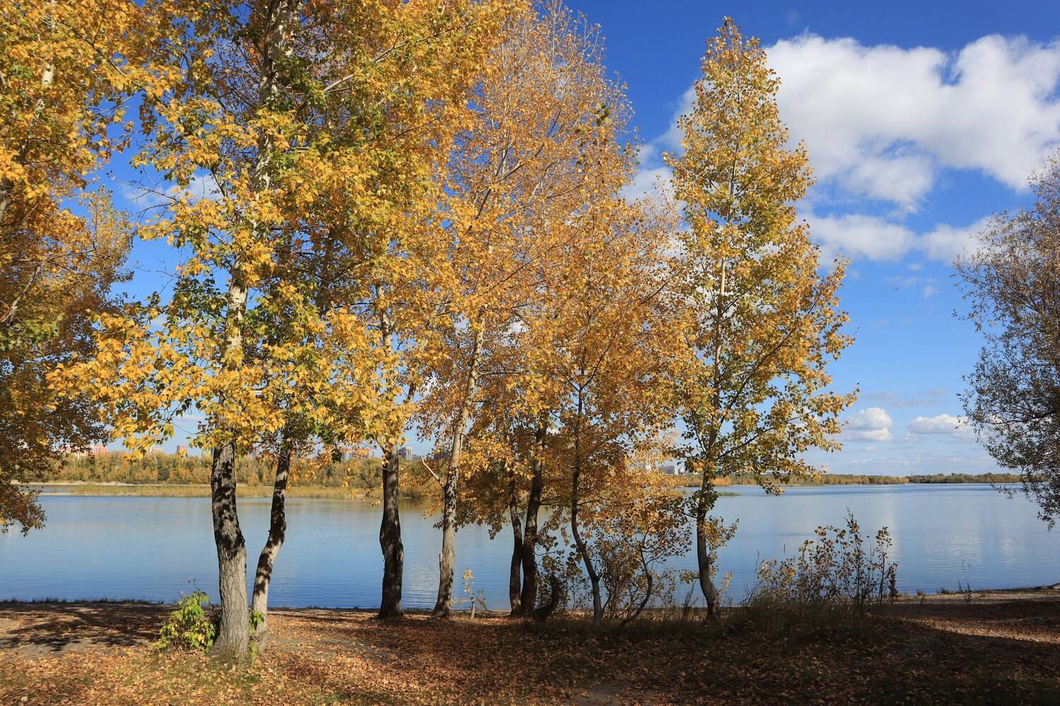 река,осень,природа,деревья, Козлова Галина