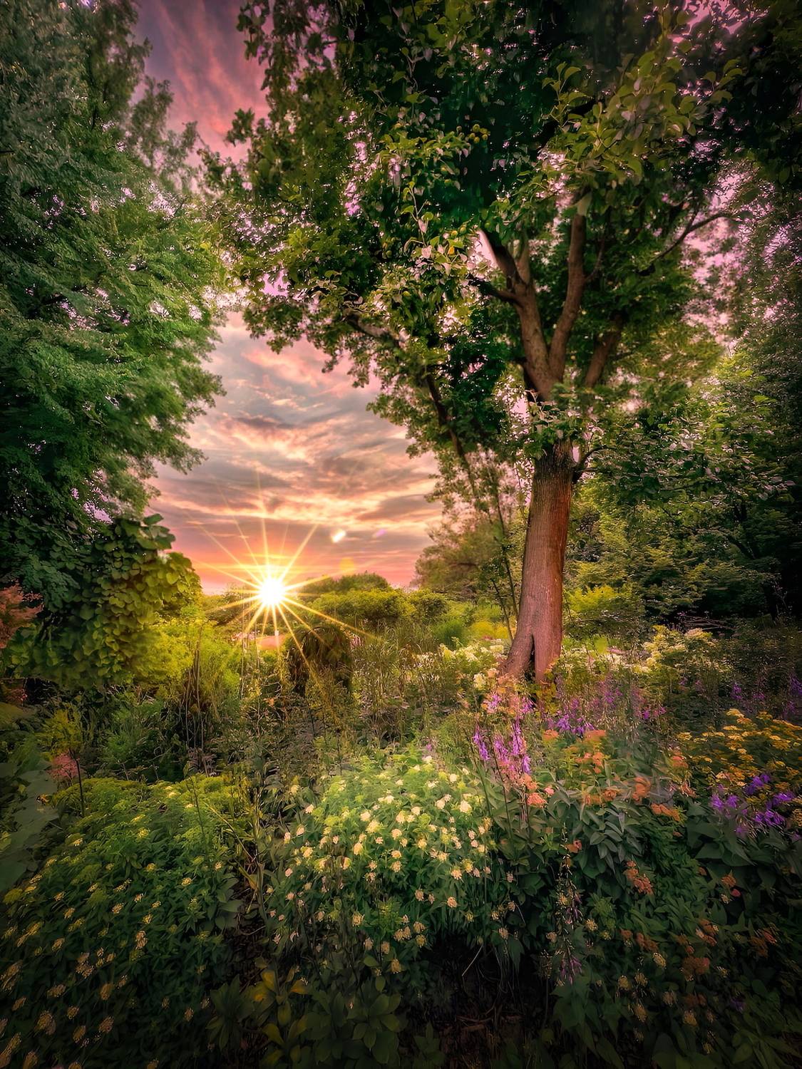 пейзаж, landscape, nature, природа, лето, summer, закат, sunset, Julia Kaissa