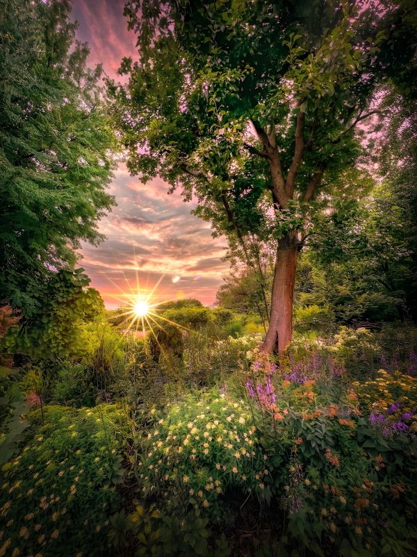 пейзаж, landscape, nature, природа, лето, summer, закат, sunset *** фото превью