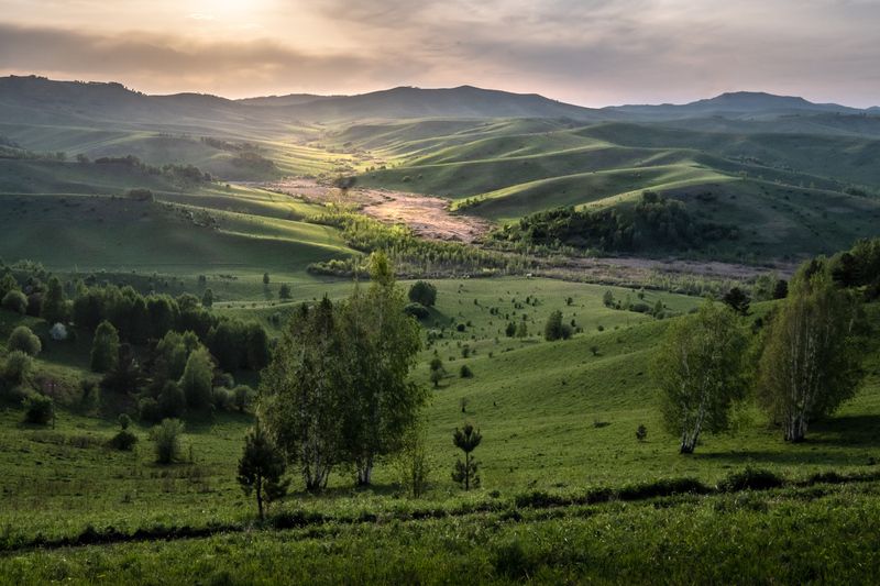 фото превью