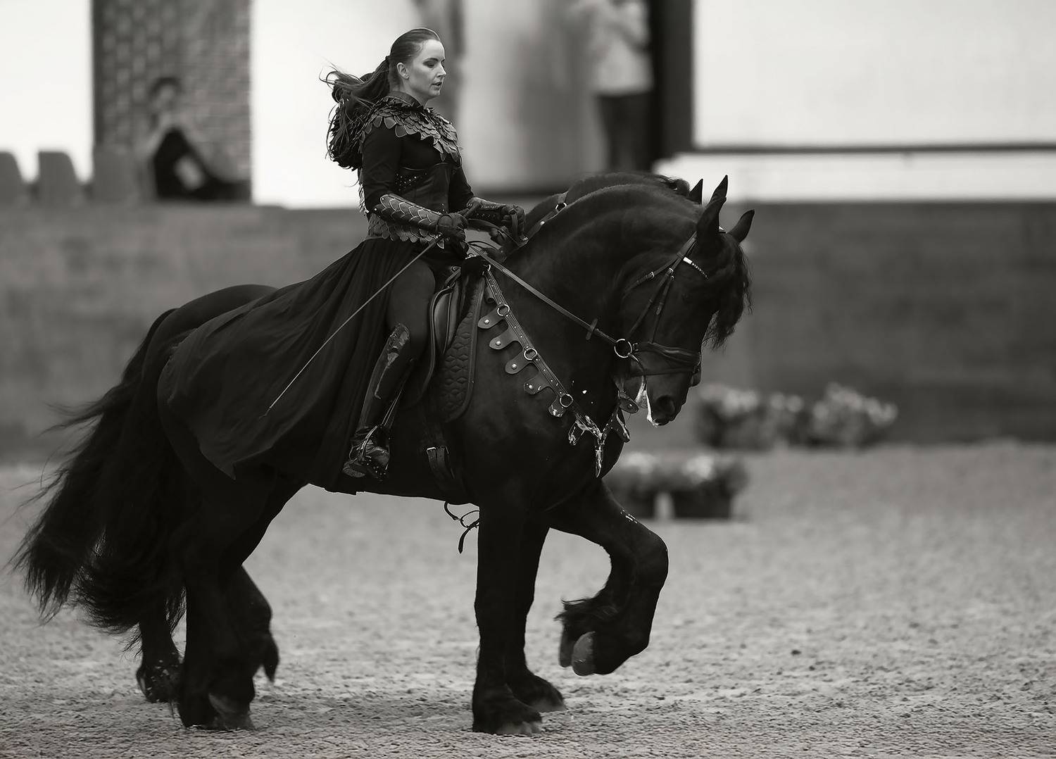 выступление, лошади, спорт, ,horsewomen, horses, beautiful, performance, Юлия Стукалова