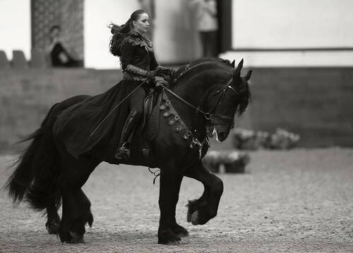 Единый ритм свободы