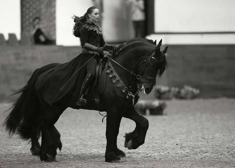 выступление, лошади, спорт, ,horsewomen, horses, beautiful, performance Единый ритм свободы фото превью