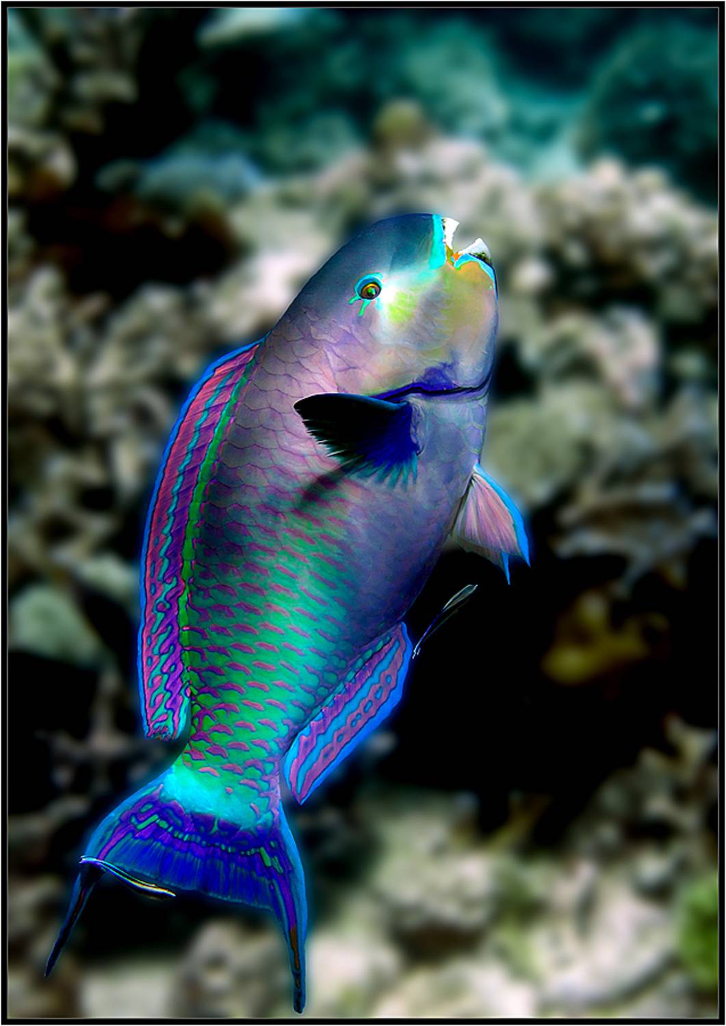 , Лисицын Сергей