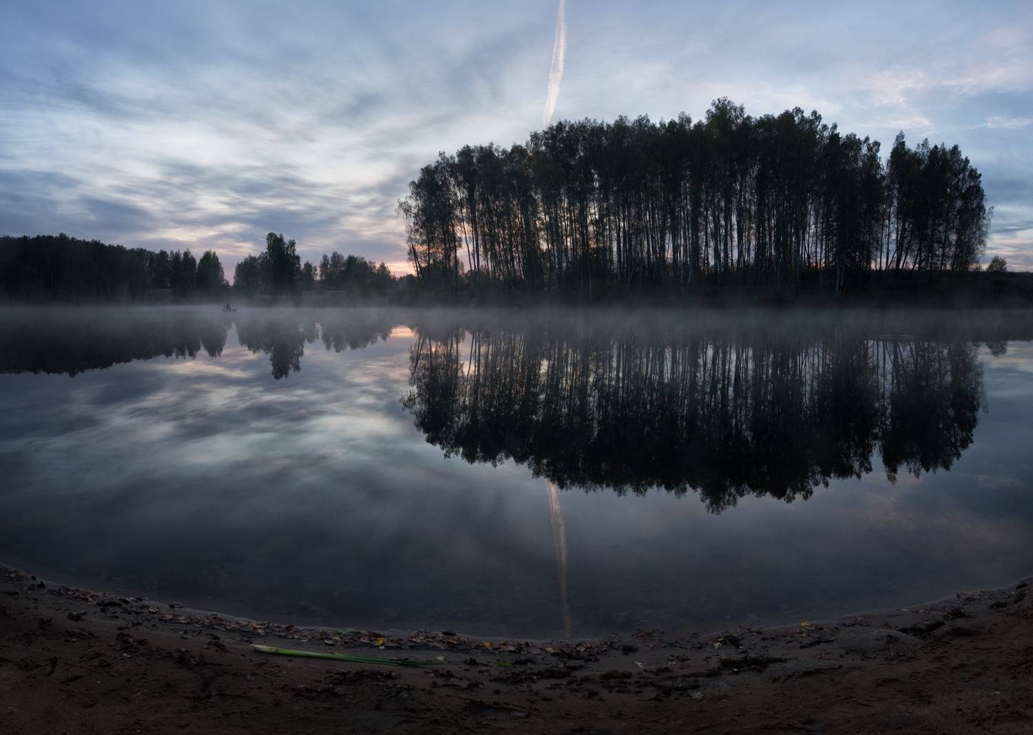 лес, свет, утро, природа, Баранов Олег