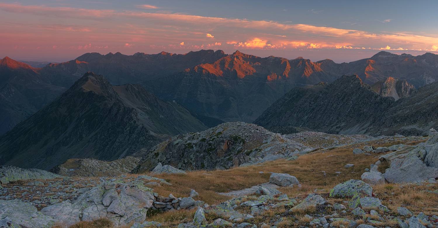 , Wojciech Tarnowski