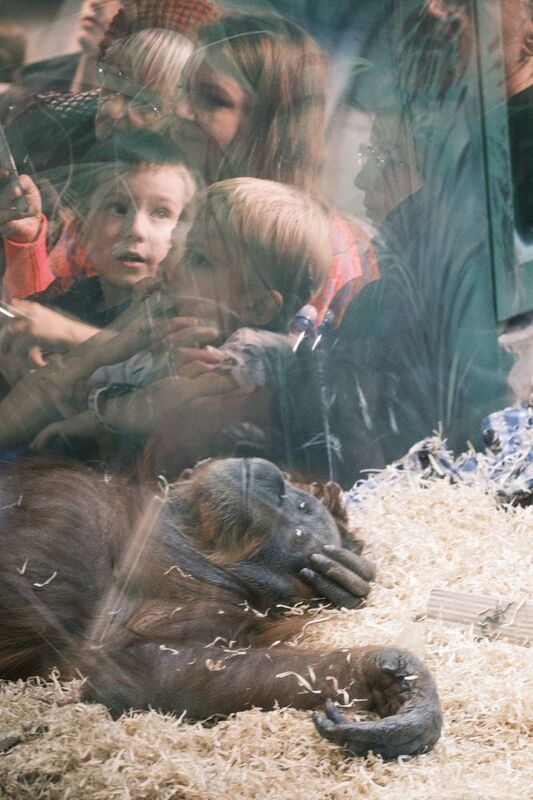 ... фото превью