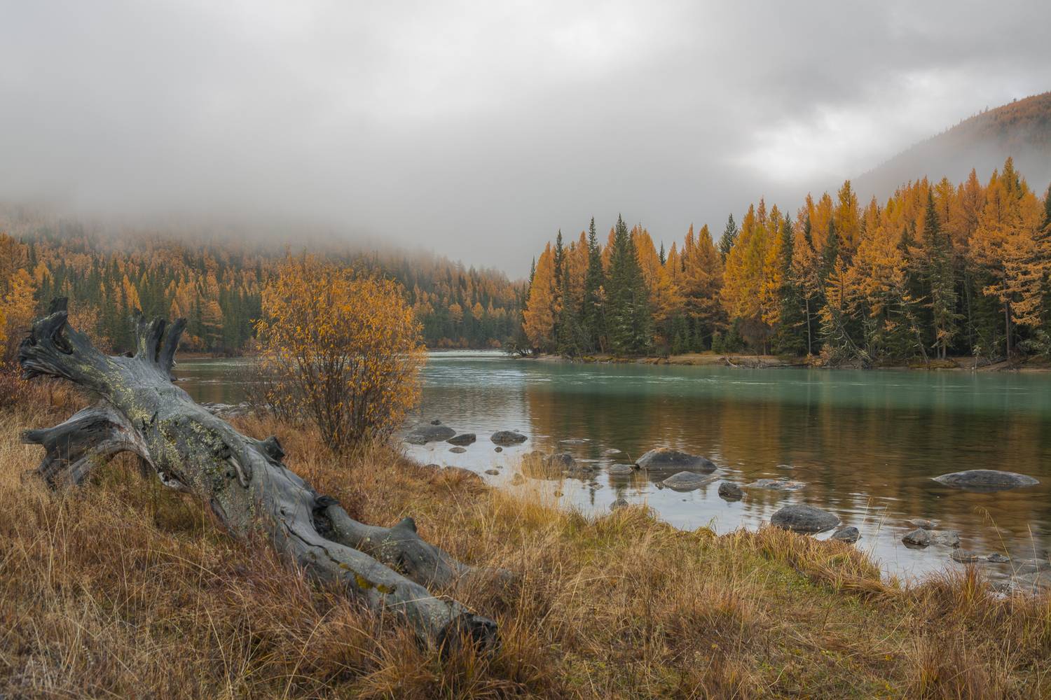 россия, горный алтай, река, утро, туман, осень, Андрей Поляков