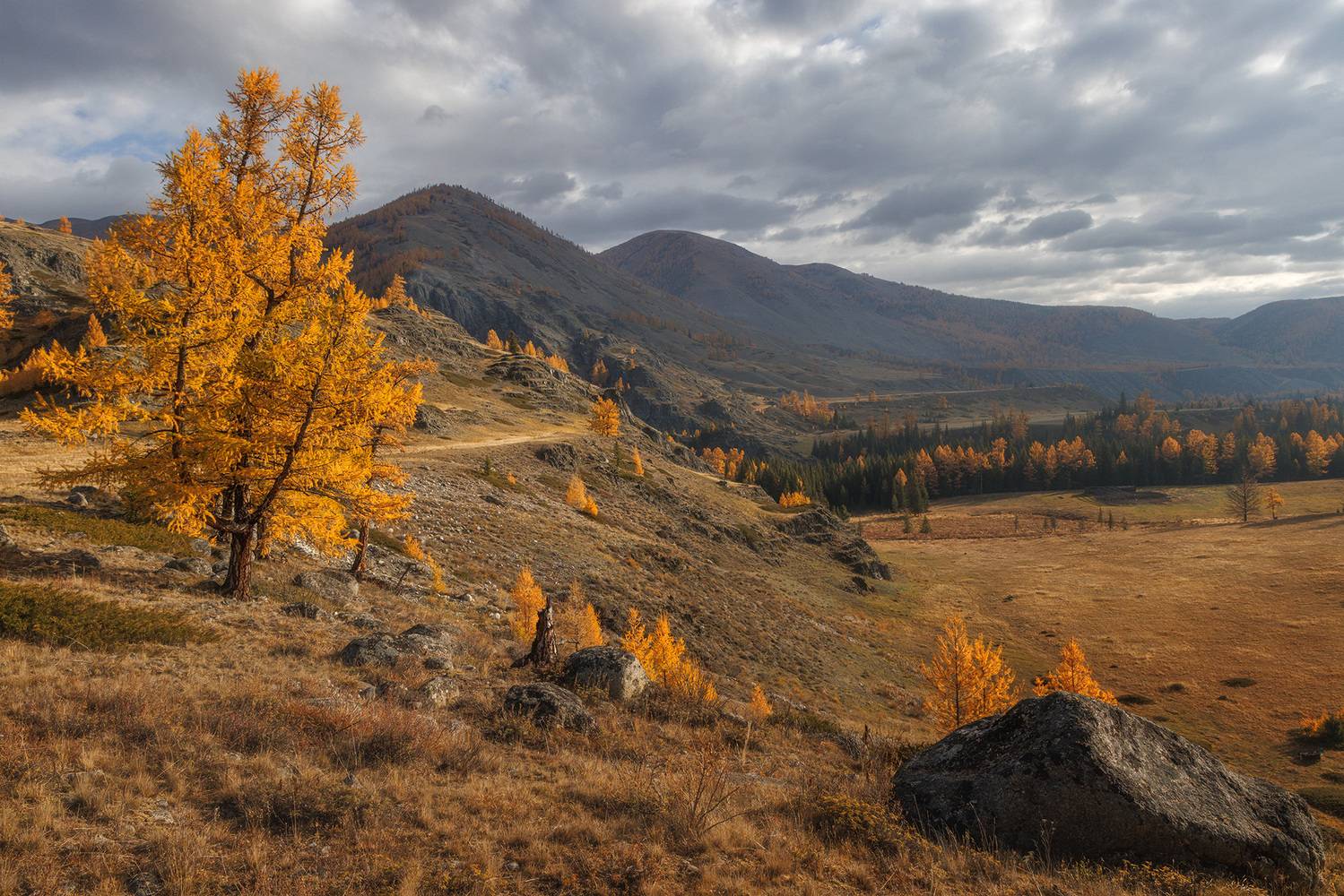 , Морозов Сергей
