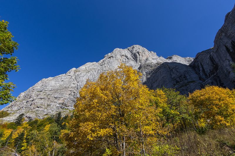 Осень не за горами... фото превью