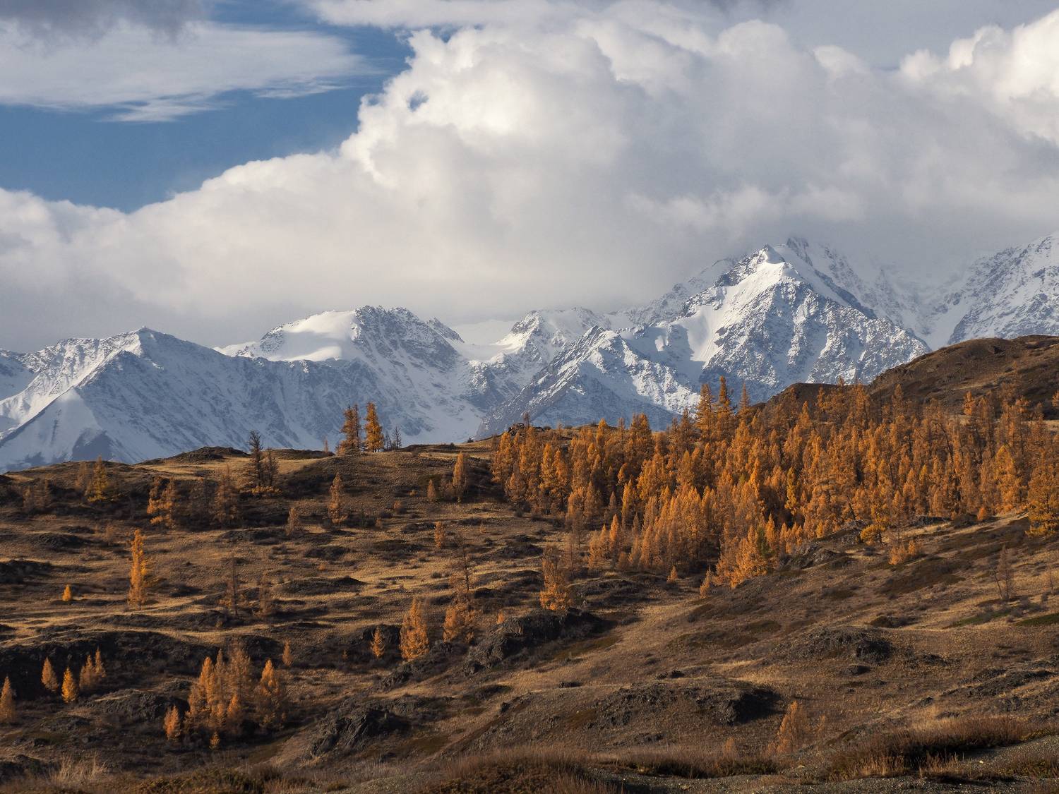 алтай, горный алтай, курай, Галина Хвостенко