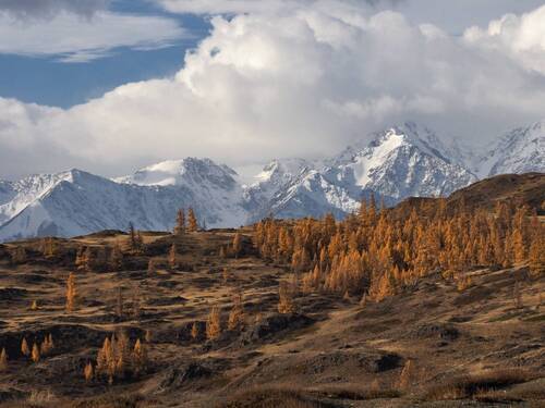 По горам, по долам...