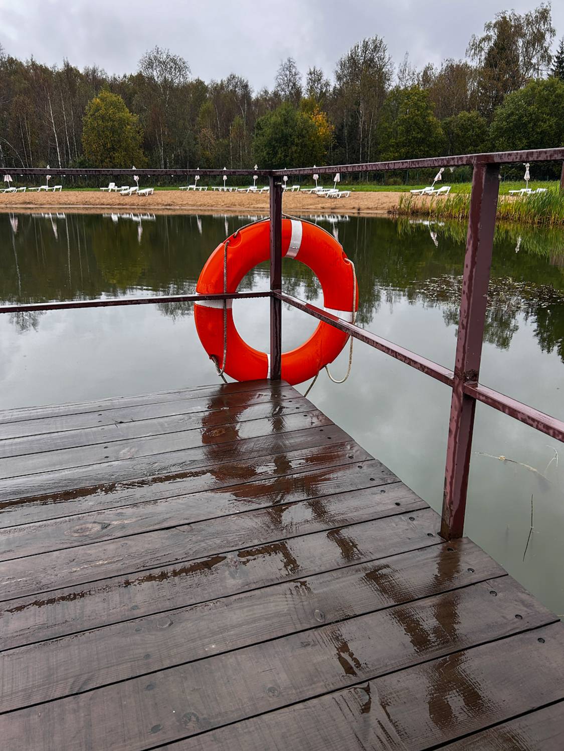 , Новикова Ольга