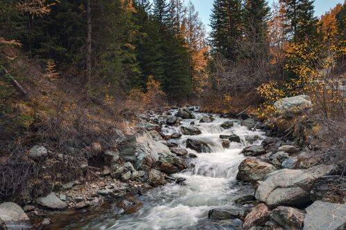 Река Чибитка