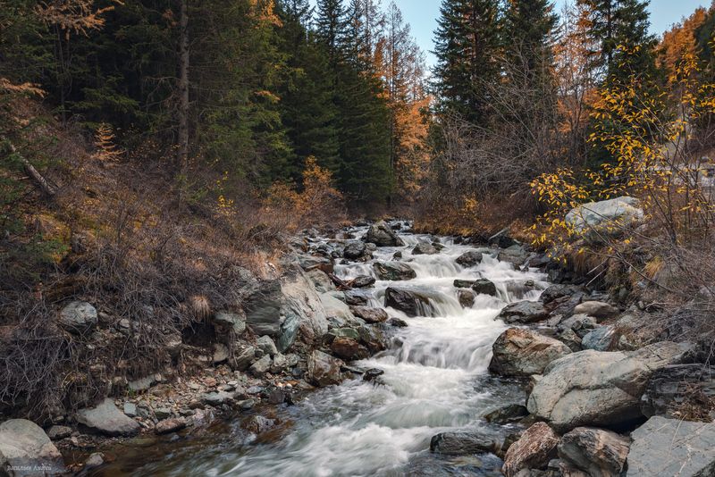 алтай, республика алтай, природа, река чибитка, осень, золотая осень Река Чибитка фото превью