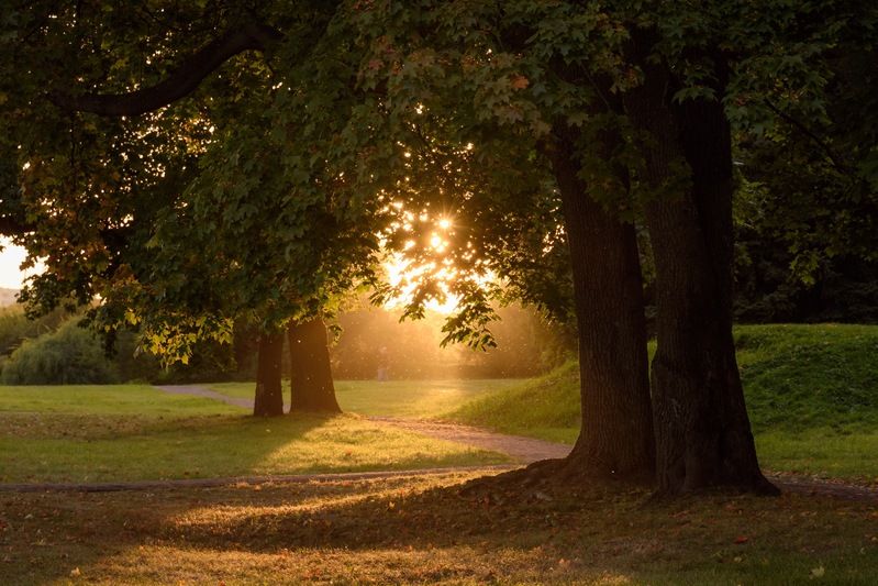 коломенское, москва, вечер Осенний вечер в Коломенском фото превью