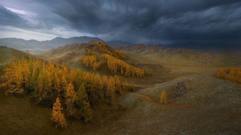 Кажется дождь начинается... фото превью