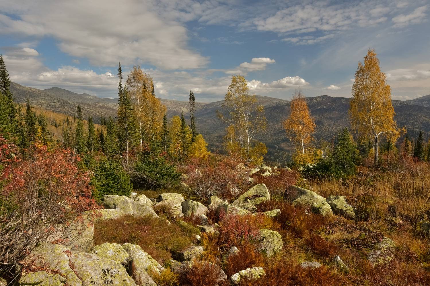 россия, хакасия, осень, сентябрь, краски, дерево, камни, горы, Холзаков Вячеслав