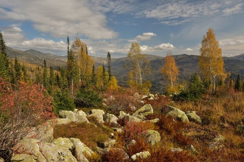 россия, хакасия, осень, сентябрь, краски, дерево, камни, горы Осень в Хакасии фото превью