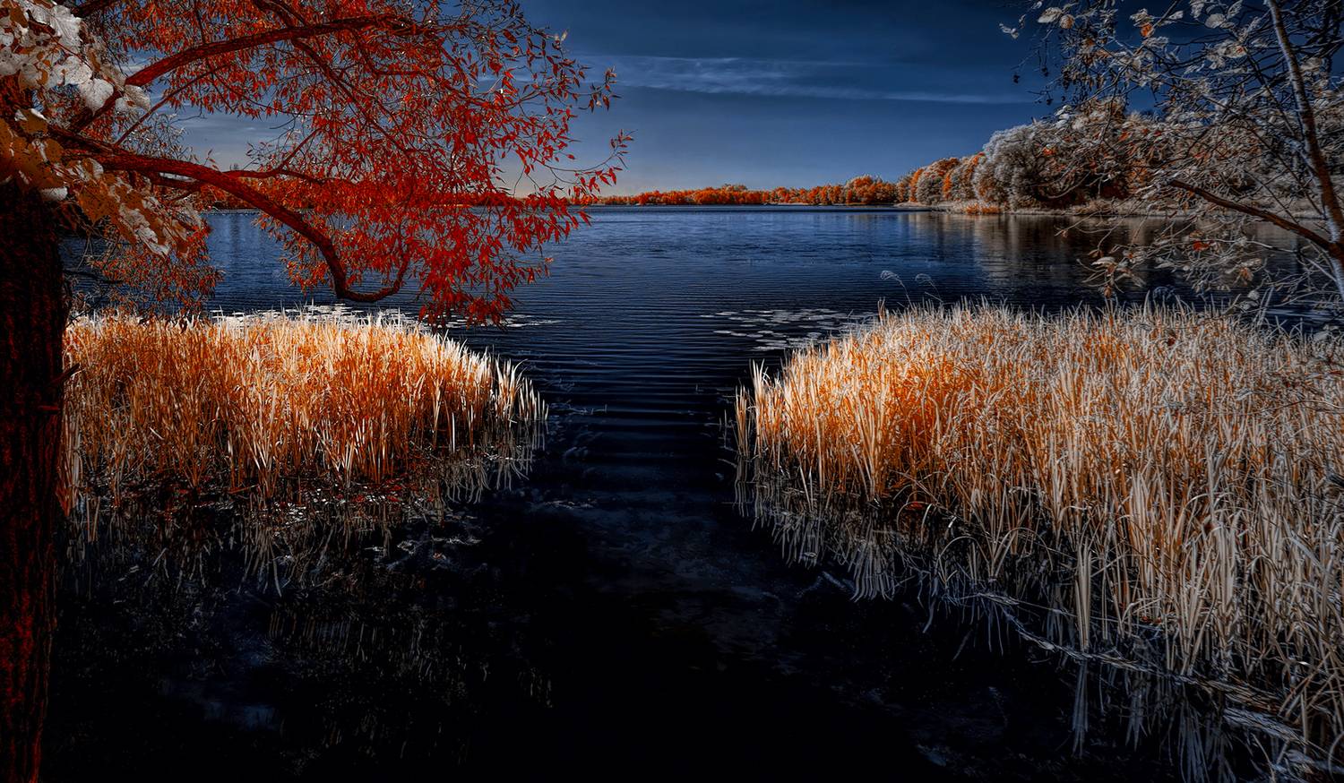 infrared, ик-фото, инфракрасное фото, инфракрасная фотография, пейзаж, лето,  Sixten (Сергей)