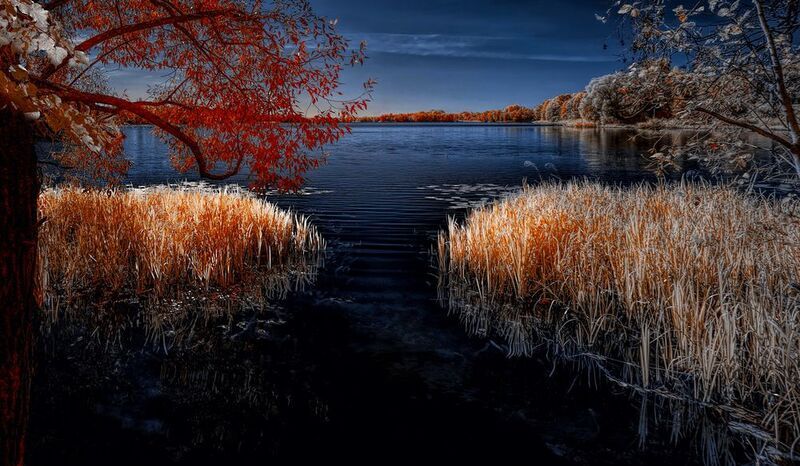 infrared, ик-фото, инфракрасное фото, инфракрасная фотография, пейзаж, лето Уплыть фото превью