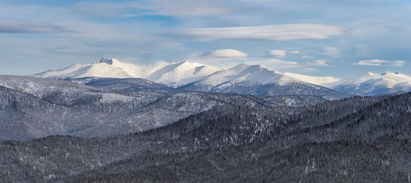 поднебесные, зубья Поднебесные зубья фото превью