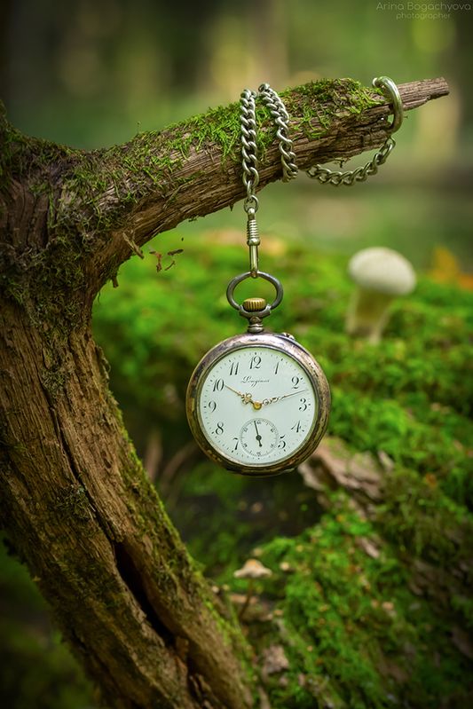 Autumn, time to reflect фото превью