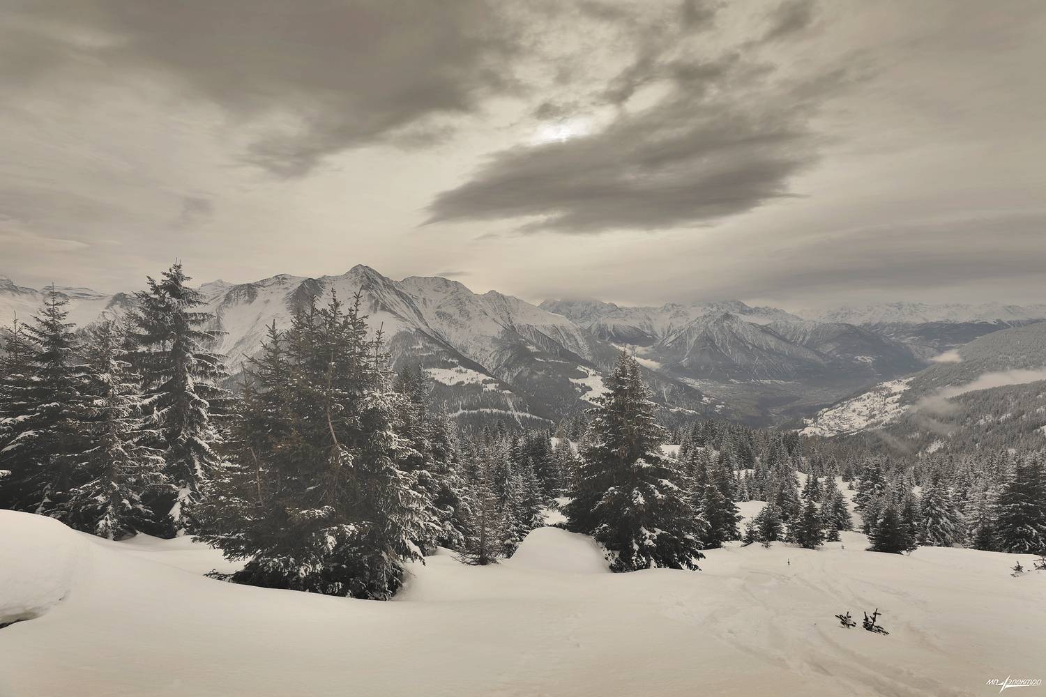 swiss, Матвеев Николай