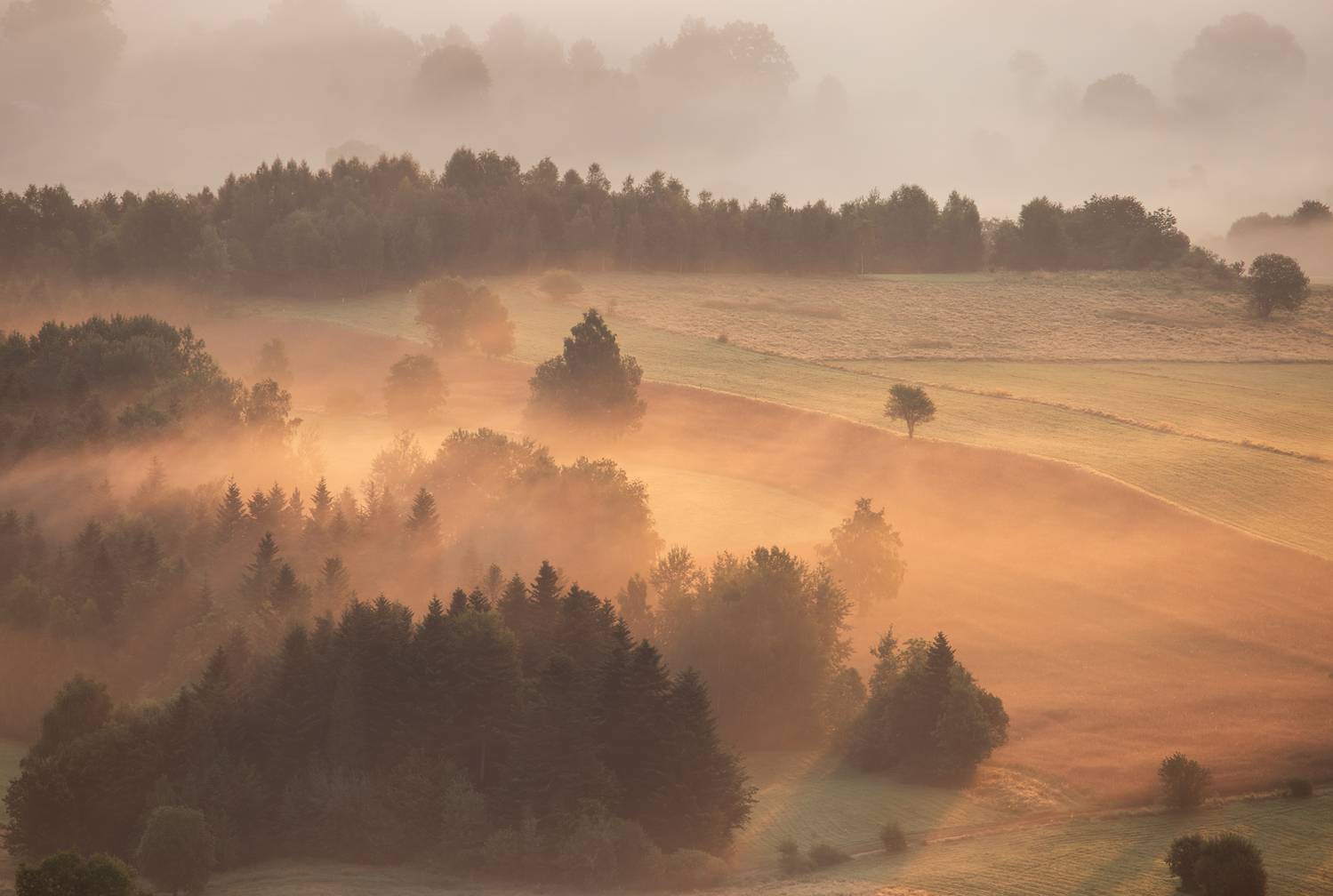 ,  Mirosław Pruchnicki