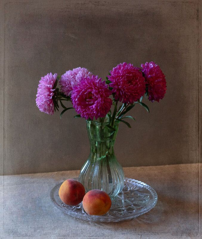 Астры фото превью