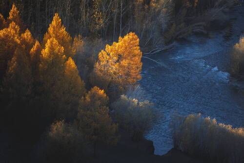 Разговор стихий