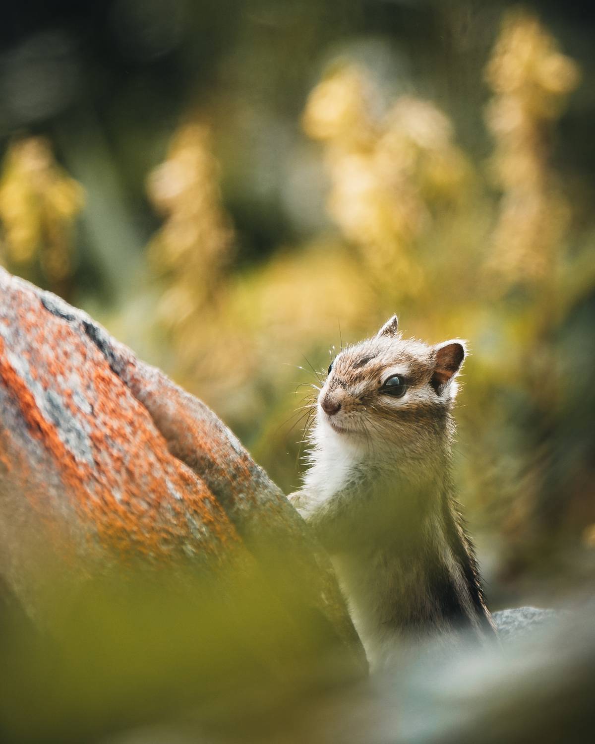 , Андрей Иванов