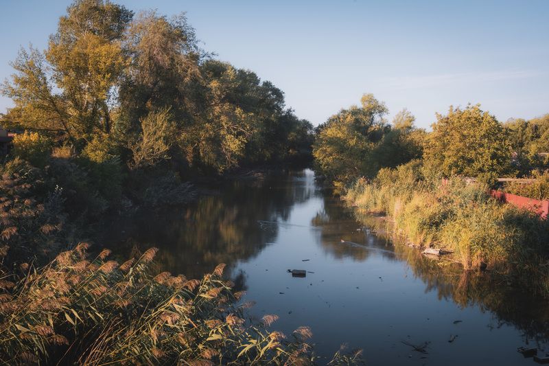 река, осень, лес, пейзаж, кагальник, р Кагальник. фото превью