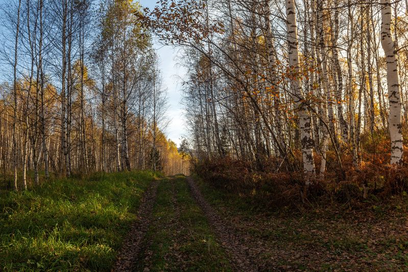******* фото превью