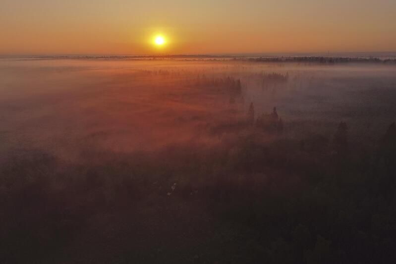 Истра Лес Подмосковье Туман Рассвет Рассвет в бассейне Истры фото превью