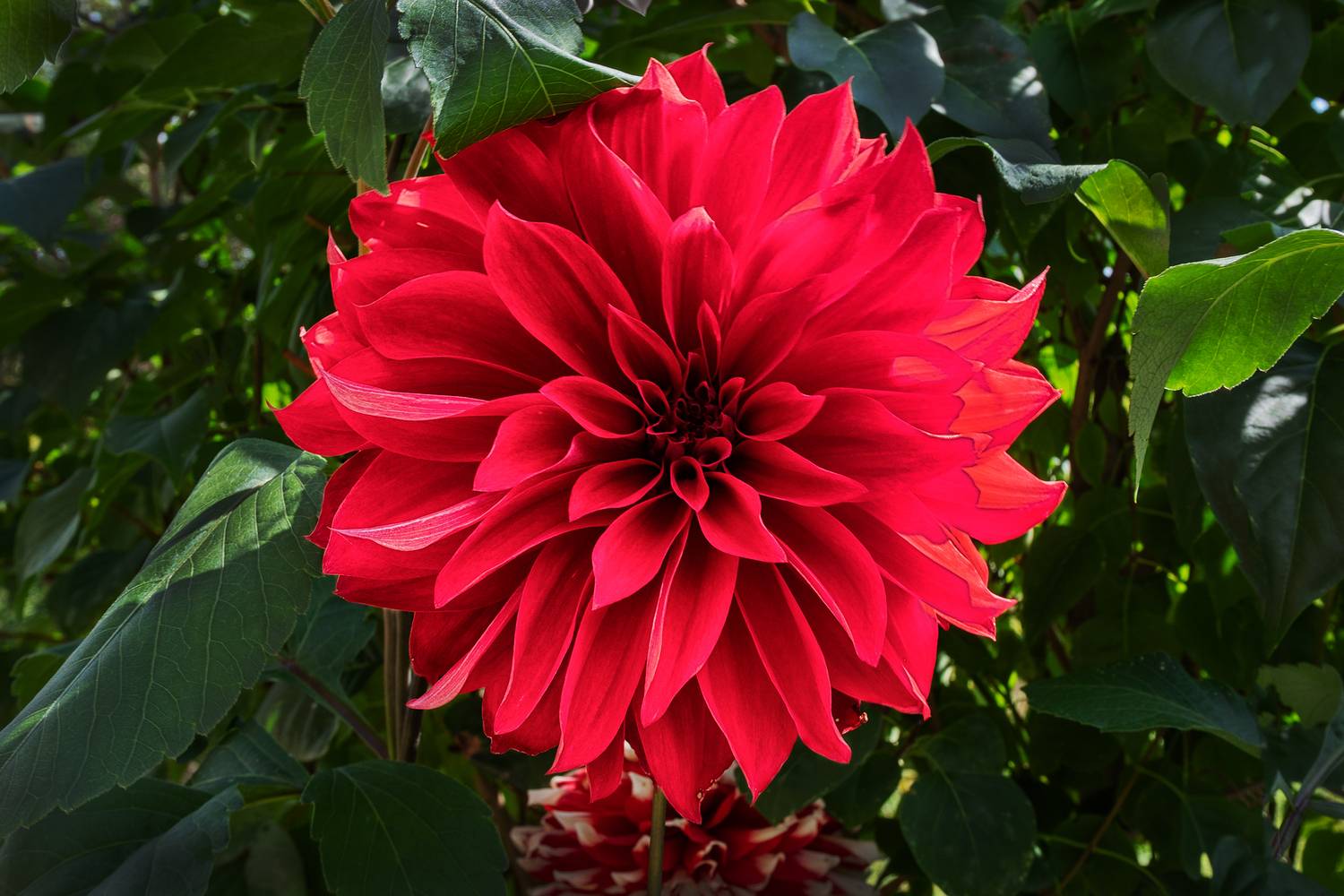 , Ушаков Валерий