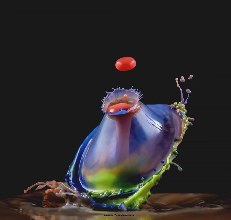 #color_image, #color, #drop, #liqiud, #macro, #water, #macrophoto Три цвета в одном наряде фото превью