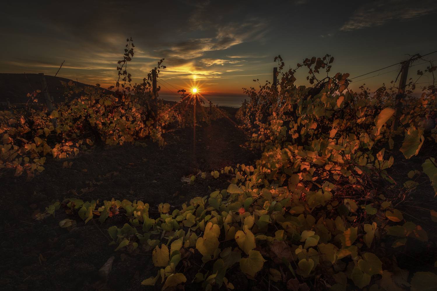 Крым, Гусева Елена