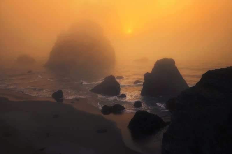 в апельсиновом тумане фото превью