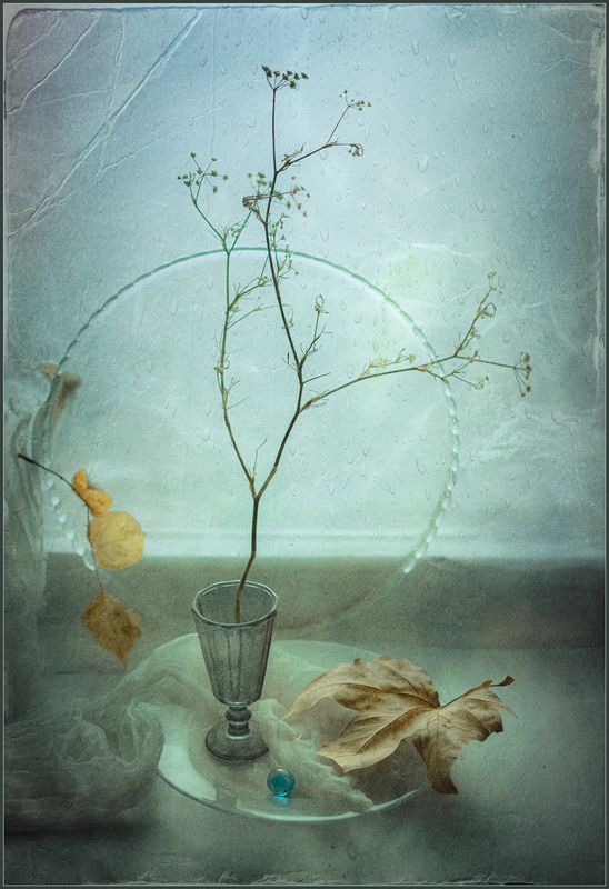 * * * фото превью