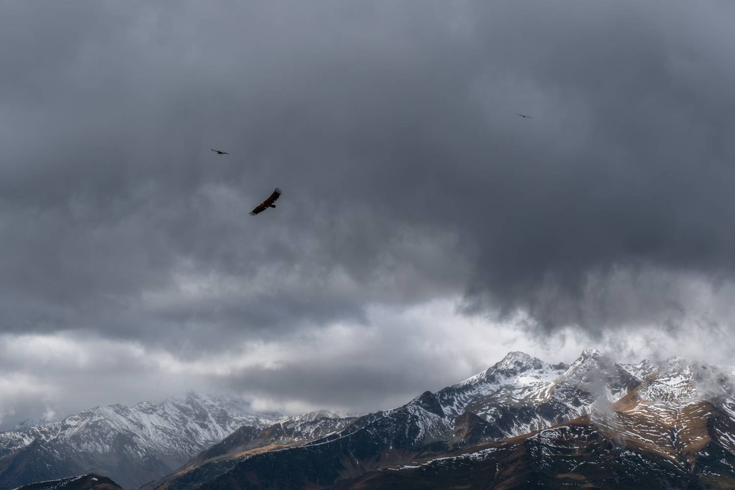 , Юлия Мальцева