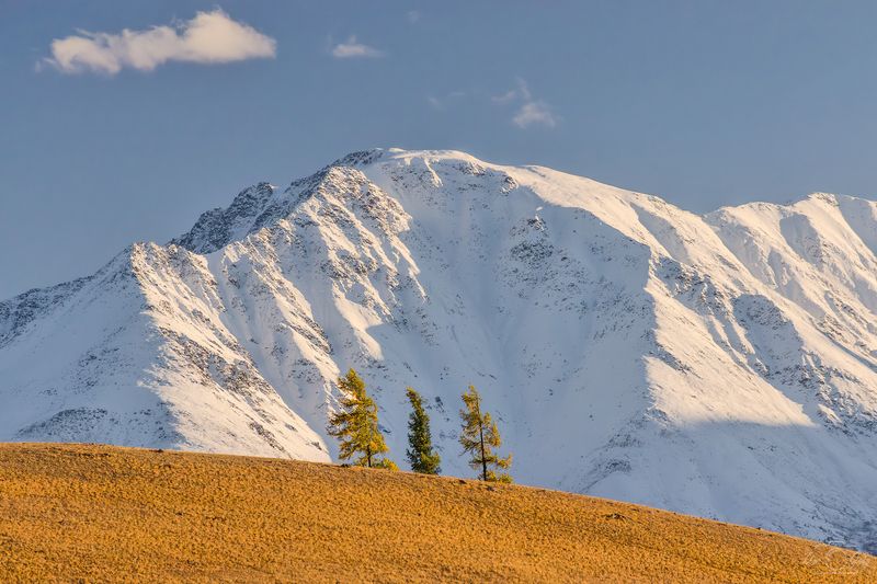 алтай, курайская степь Трое в горах фото превью