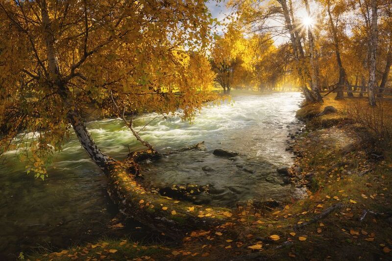 На берегу изумрудной реки фото превью