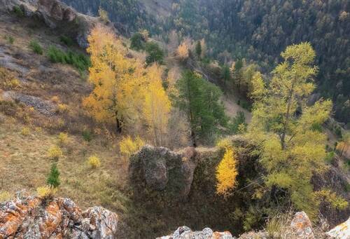 Осень торгашинского хребта