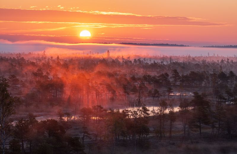Утро на болоте. Октябрь фото превью
