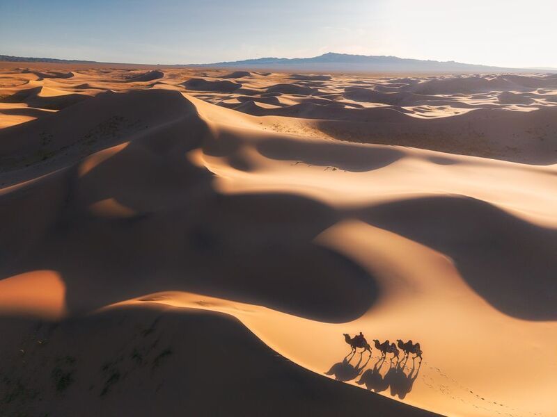 Гоби, Монголия. Караван в складках шелка фото превью